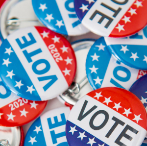 Insights on the 2020 Presidential Election